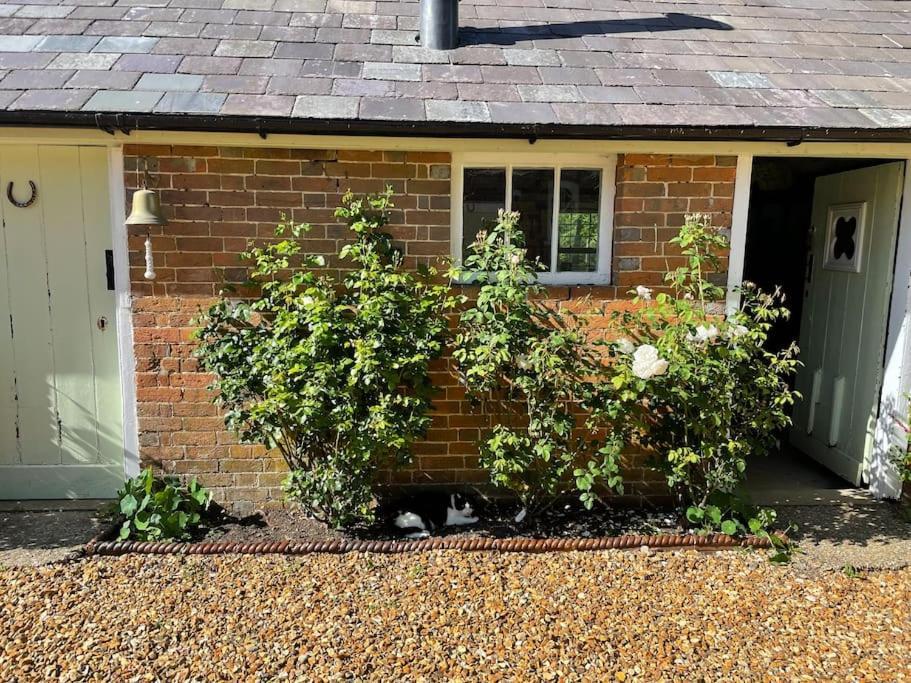 The Georgian Coach House:New Forest With Hot Tub Villa Fordingbridge Exterior photo